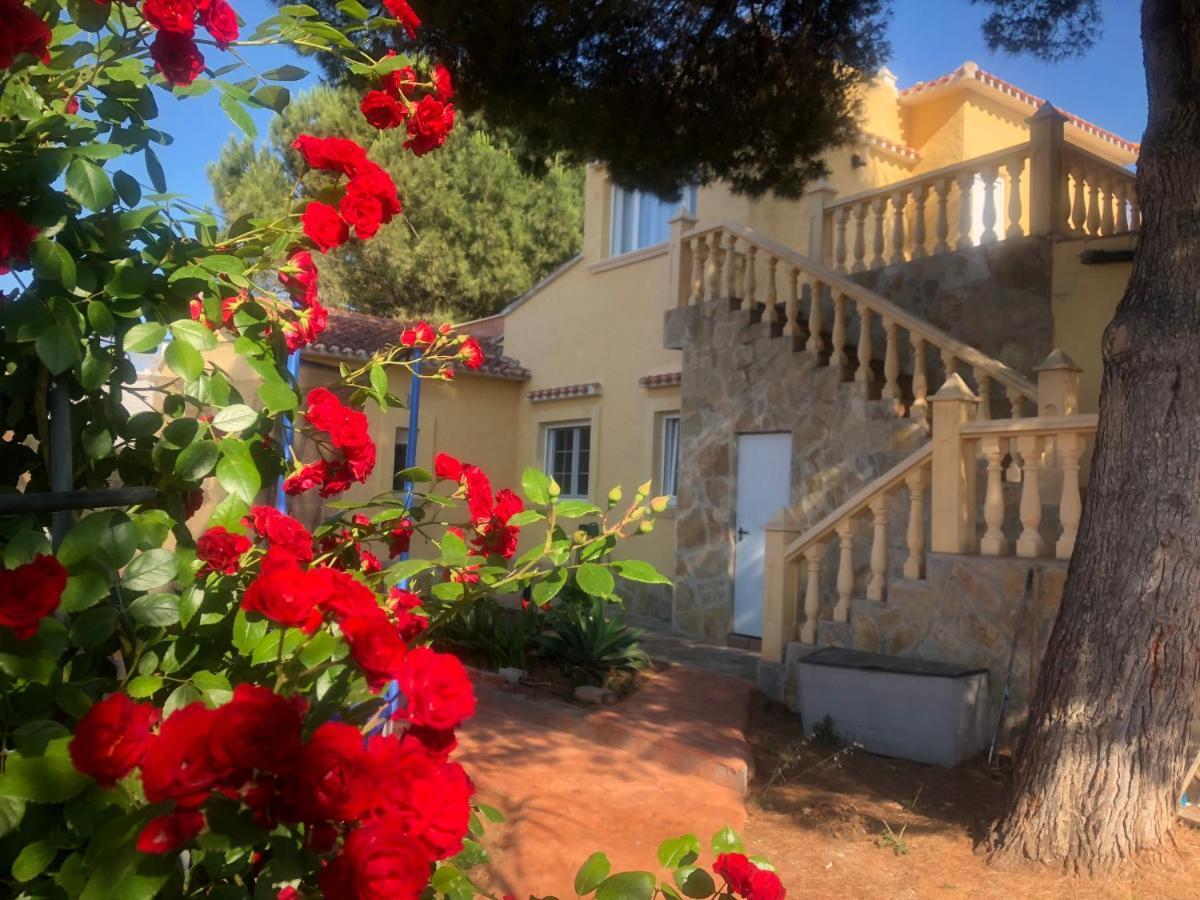 Villa Eliza デニア エクステリア 写真
